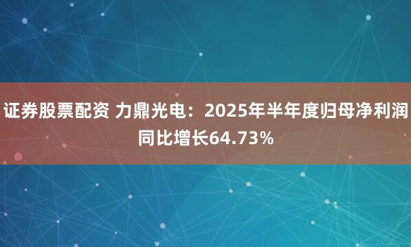 证券股票配资 力鼎光电:2025年半年度归母净利润同比增长64.73%