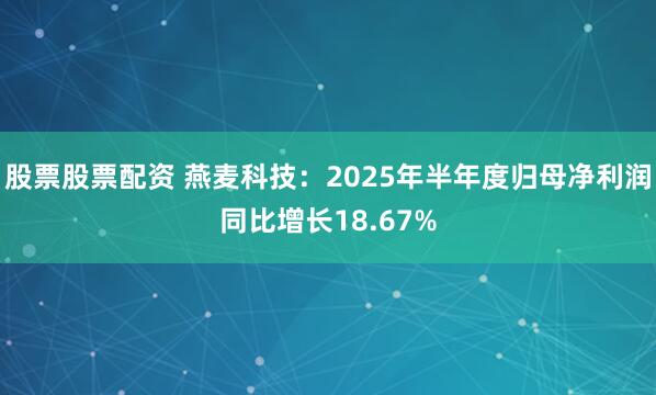 股票股票配资 燕麦科技：2025年半年度归母净利润同比增长18.67%