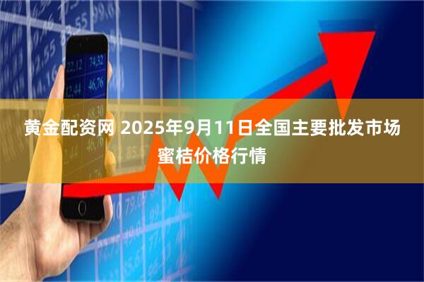 黄金配资网 2025年9月11日全国主要批发市场蜜桔价格行情
