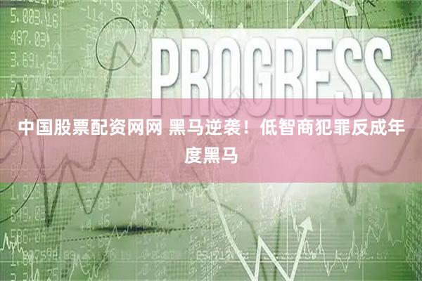 中国股票配资网网 黑马逆袭！低智商犯罪反成年度黑马